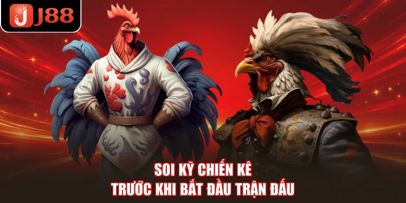 Soi kỹ chiến kê trước khi bắt đầu trận đấu